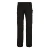 686 Geode Thermagraph Womens Pant 2023