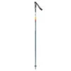 Scott Sun Valley Ski Poles 2023
