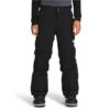 The North Face Freedom Insulated Kids Pant 2023