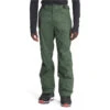 The North Face Freedom Pant 21-22