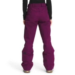 The North Face Lostrail Futurelight Womens Pant 21-22 -Utahskis The North Face Women s Lostrail Futurelight Pant 21 22 PPUR 2